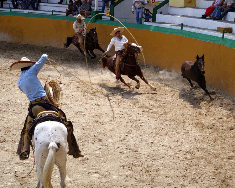 charros en things to do in guadalajara agua azul