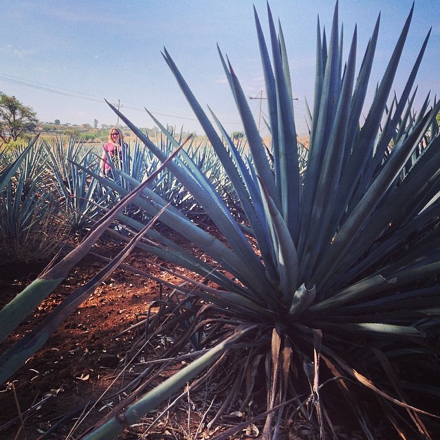 Little sis in Tequila