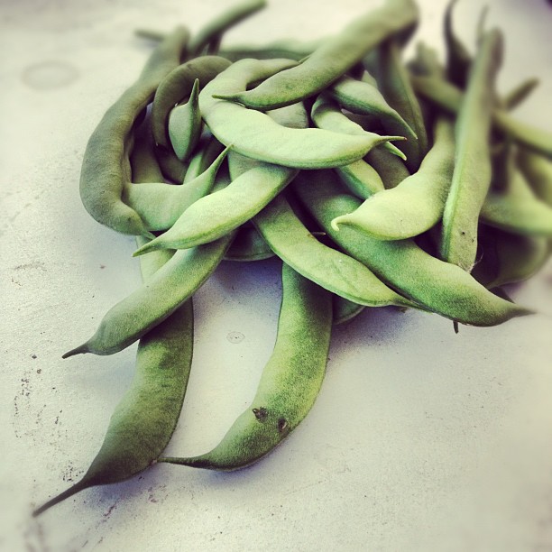 Les haricots verts sont arrives…