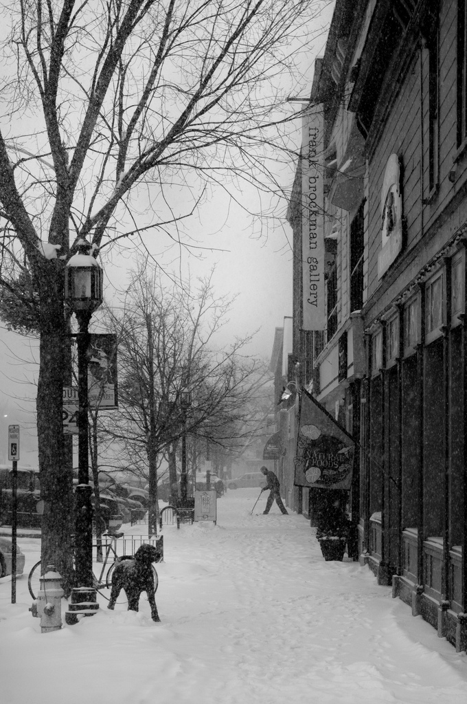 Maine Street, Brunswick