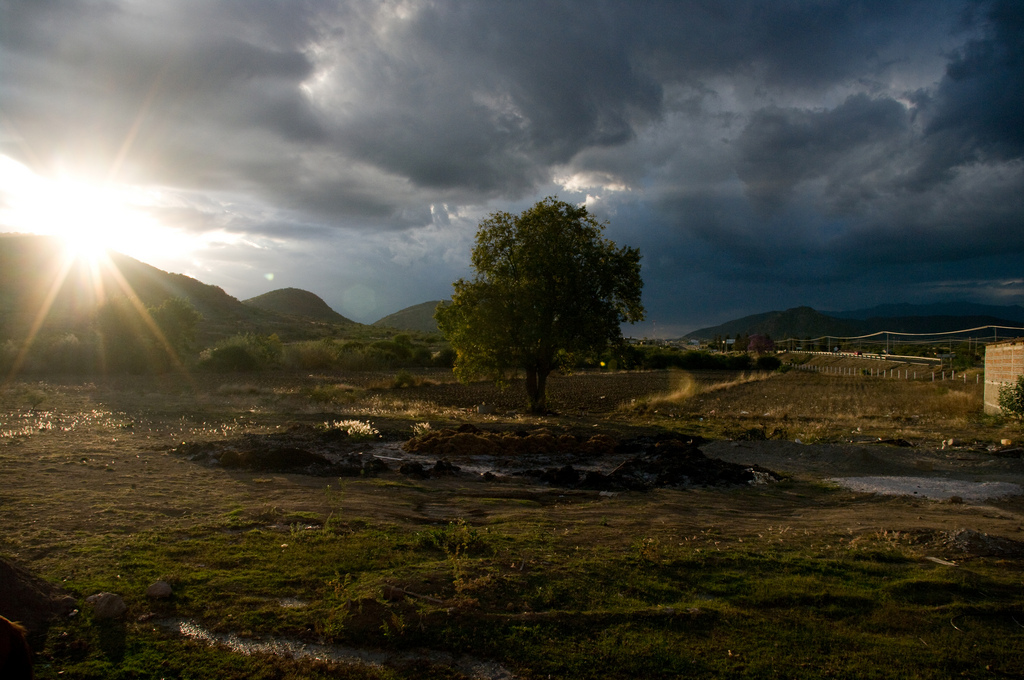 Matatlán, Oaxaca Sunset