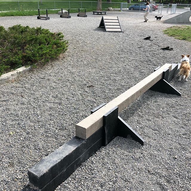 Fairmont got a load of new exercise equipment to pee on