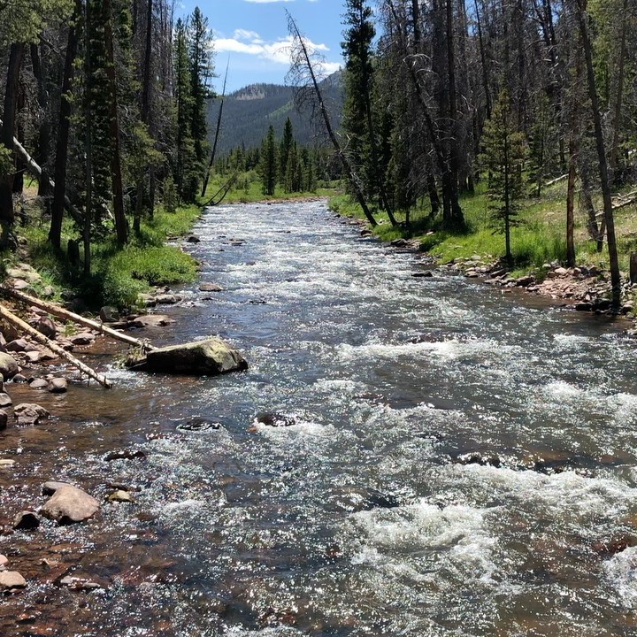 Escape from 100ºF to the Uintas